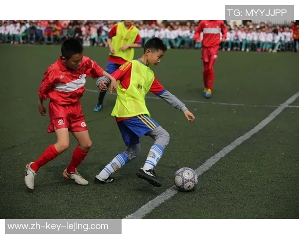 足球狗t的奇妙冒险：探索球场上的友情与挑战